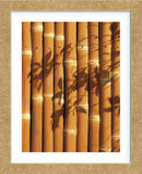 Teahouse Gate 2  (Framed) -  Jenny Kraft - McGaw Graphics