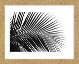 Palms 10  (Framed) -  Jamie Kingham - McGaw Graphics