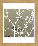 Autumn Branch (tan) (square crop)  (Framed) -  Jenny Kraft - McGaw Graphics