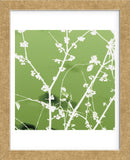 Autumn Branch (green) (square crop)  (Framed) -  Jenny Kraft - McGaw Graphics
