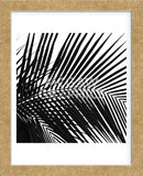 Palms 10 (detail)  (Framed) -  Jamie Kingham - McGaw Graphics