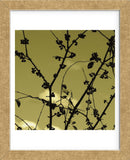 Autumn Branch (sepia) (detail)  (Framed) -  Jenny Kraft - McGaw Graphics