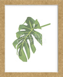 Philodendron 3  (Framed) -  Jenny Kraft - McGaw Graphics