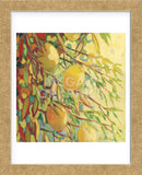 Four Lemons (Framed) -  Jennifer Lommers - McGaw Graphics