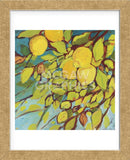 The Lemons Above (Framed) -  Jennifer Lommers - McGaw Graphics