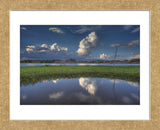 Cloud Patch (Framed) -  Bob Larson - McGaw Graphics