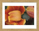 After the Rain 6820 (Framed) -  Brian Leighton - McGaw Graphics