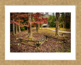 Smokies Cabin (Framed) -  Robert Lott - McGaw Graphics