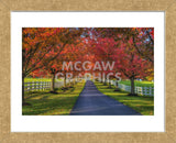 Lane in Fall (Framed) -  Robert Lott - McGaw Graphics