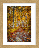 Ohiopyle Path (Framed) -  Robert Lott - McGaw Graphics