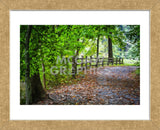 Laurels Pathway (Framed) -  Robert Lott - McGaw Graphics