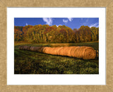 Hay Bales (Framed) -  Robert Lott - McGaw Graphics