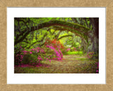 Magnolia Gardens (Framed) -  Robert Lott - McGaw Graphics