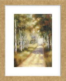 Peaceful Passage  (Framed) -  Marc Lucien - McGaw Graphics