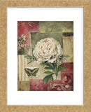 Peony and Butterfly (Framed) -  Lisa Audit - McGaw Graphics