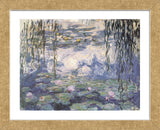 Water Lilies and Willow Branches  (Framed) -  Claude Monet - McGaw Graphics