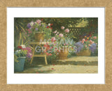 Potted Flowers (Framed) -  Allan Myndzak - McGaw Graphics