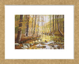 Golden Flow (Framed) -  Gene McInerney - McGaw Graphics