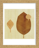Leaf I  (Framed) -  Pyper Morgan - McGaw Graphics