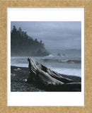 Pacific Drifter  (Framed) -  Phillip Mueller - McGaw Graphics