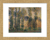 Poplars at Giverny, Sunrise, 1888 (Framed) -  Claude Monet - McGaw Graphics