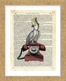Cocatoo on Telephone (Framed) -  Marion McConaghie - McGaw Graphics