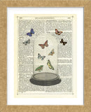 Butterfly Dome (Framed) -  Marion McConaghie - McGaw Graphics