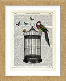 Bird Cage and Parrot (Framed) -  Marion McConaghie - McGaw Graphics