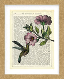 Hummingbird & Flower (Framed) -  Marion McConaghie - McGaw Graphics