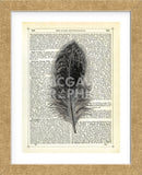 Feather (Framed) -  Marion McConaghie - McGaw Graphics