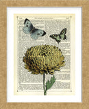 Flower & Butterflies (Framed) -  Marion McConaghie - McGaw Graphics