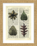 Set of 4 Leaves (Framed) -  Marion McConaghie - McGaw Graphics