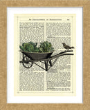Wheelbarrow Lettuce & Bird (Framed) -  Marion McConaghie - McGaw Graphics