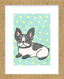 Boston Terrier (Framed) -  My Zoetrope - McGaw Graphics