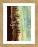 Lichen I (Framed) -  J. McKenzie - McGaw Graphics