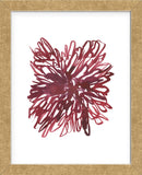 Abstract Dahlia (Framed) -  Kiana Mosley - McGaw Graphics