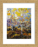 Aspen Impressions (Framed) -  Robert Moore - McGaw Graphics