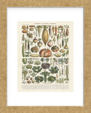Legumes II (Framed) -  Adolphe Millot - McGaw Graphics