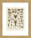 Crustaces (Framed) -  Adolphe Millot - McGaw Graphics
