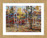 Glory of Autumn (Framed) -  Robert Moore - McGaw Graphics