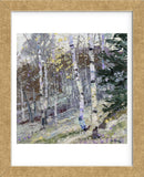 Aspens (Framed) -  Robert Moore - McGaw Graphics