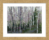 The Glade (Framed) -  Robert Moore - McGaw Graphics