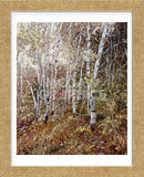 Autumn Subtleties (Framed) -  Robert Moore - McGaw Graphics