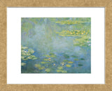 Waterlilies, ca. 1906 (Framed) -  Claude Monet - McGaw Graphics