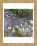 Water Lilies, 1922 (Framed) -  Claude Monet - McGaw Graphics