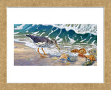 Beach Bums (Framed) -  Randy McGovern - McGaw Graphics