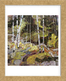 Springtide (Framed) -  Robert Moore - McGaw Graphics