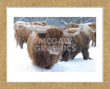 Scottish Highlanders (Framed) -  Orah Moore - McGaw Graphics