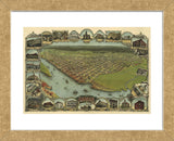 Map of Eureka, California, 1902 (Framed) -  A.C. Noe - McGaw Graphics