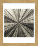 Silver Burst (Framed) -  Mali Nave - McGaw Graphics